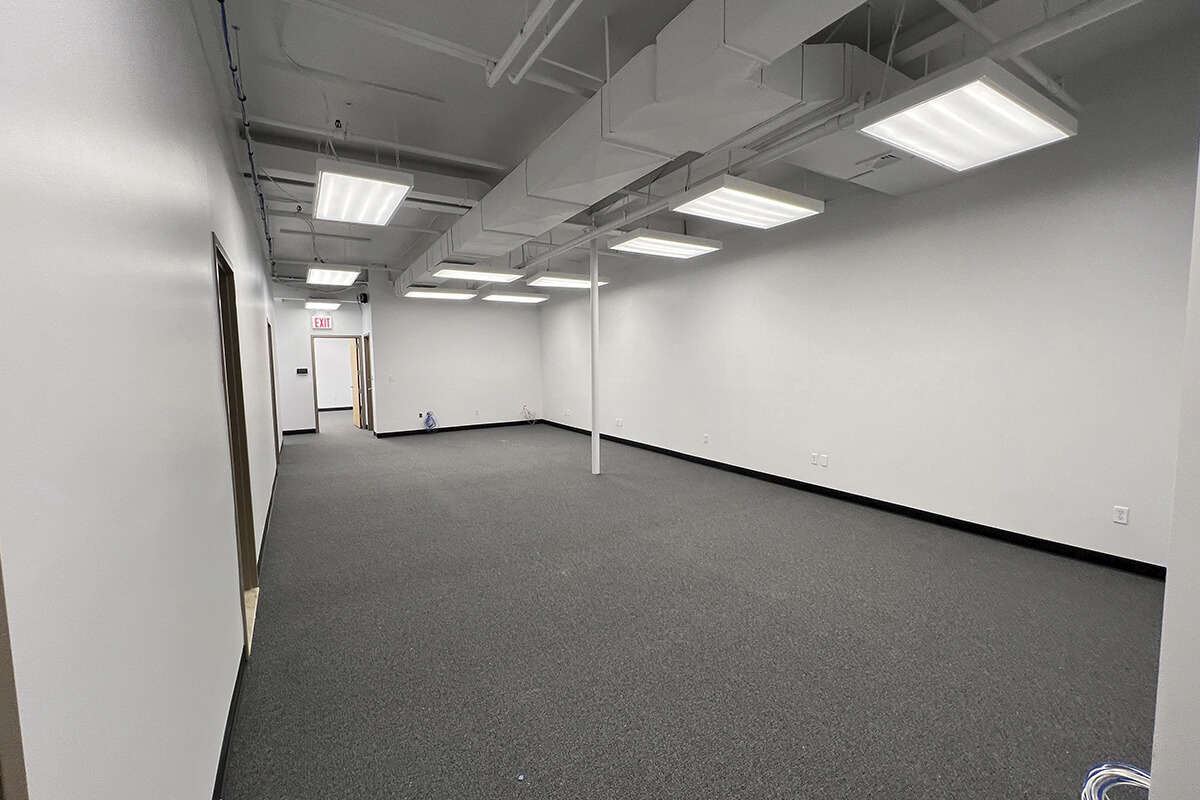 Professional painters